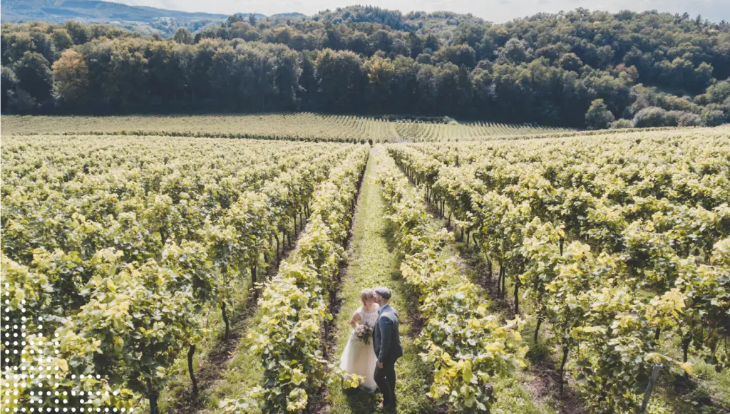 All you need to know to have the best daytime wedding